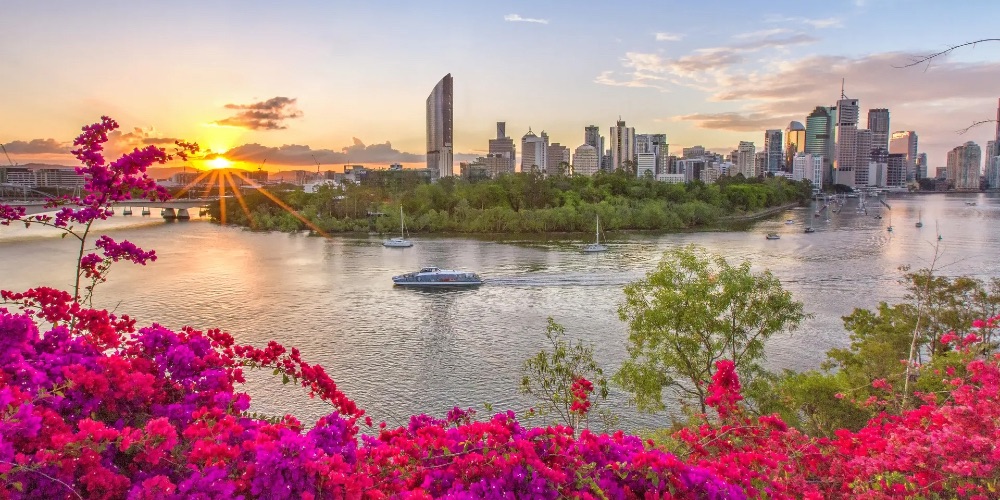 brisbane-city-skyline-with-pink-bougainvillea