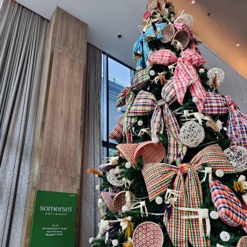 christmas-tree-somerset-rama-9