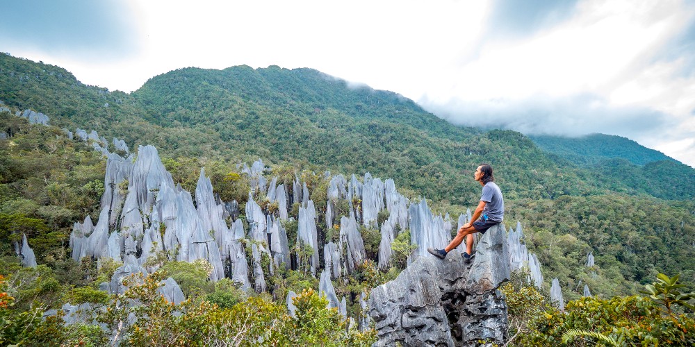 mulu-pinnacles-mulu-national-park-family-holiday-in-sarawak