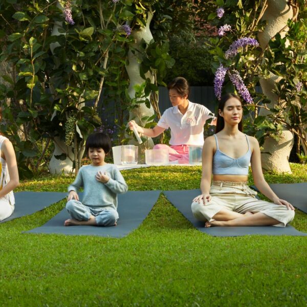 rxv-wellness-village-sound-healing