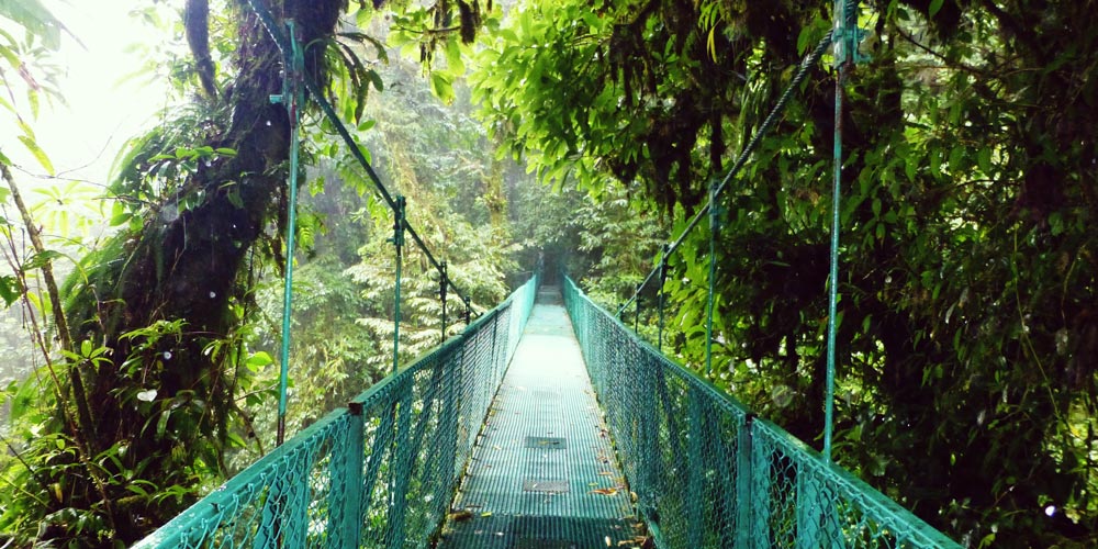 cloud forest costa rica experiences