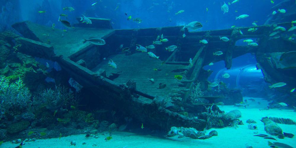 shipwreck-browns-cay-caribbean