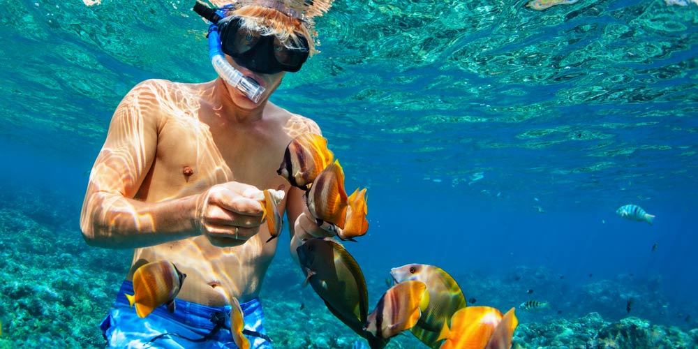 snorkelling-waderick-wells-cay-bahamas