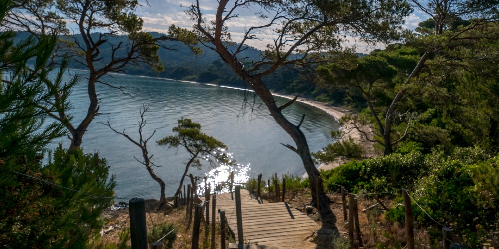 wooden-stairway-pine-trees-ile-de-poquerelle-beach-south-of-france-summer-afternoon-2022
