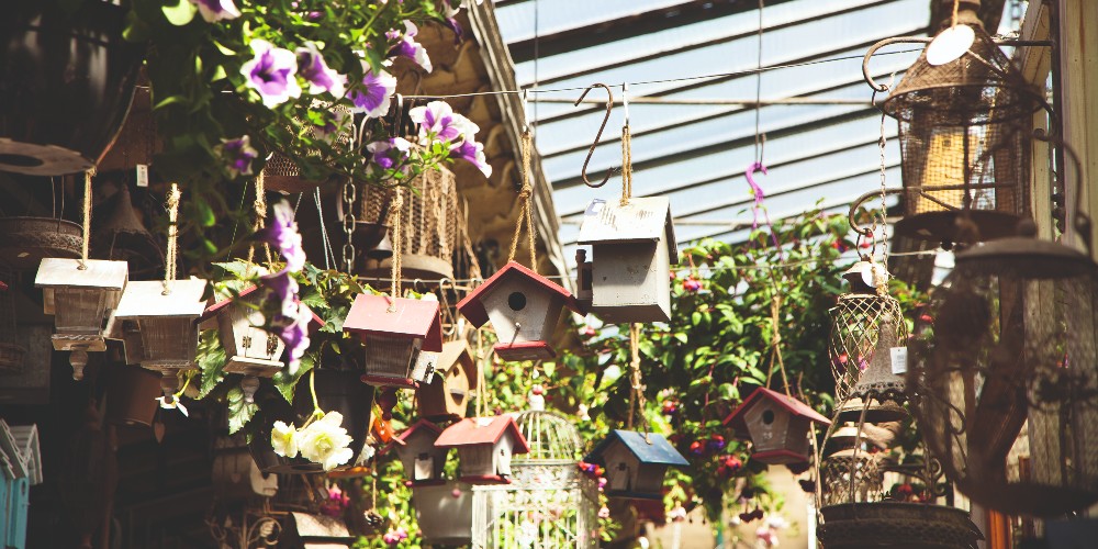 marche-reine-elizabeth-II-paris-birdboxes-hanging-baskets