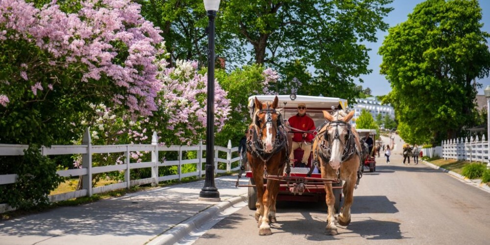 mackinac-island-michigan-horse-drawn-carriage-spring