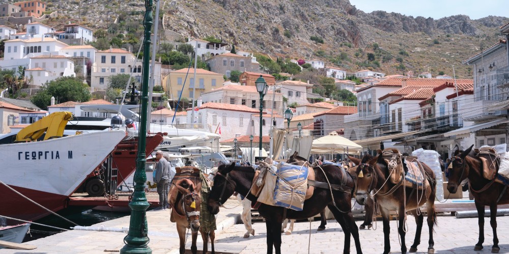 mules-on-quayside-hydra-greek-sailing-holidays-jordan-durzi