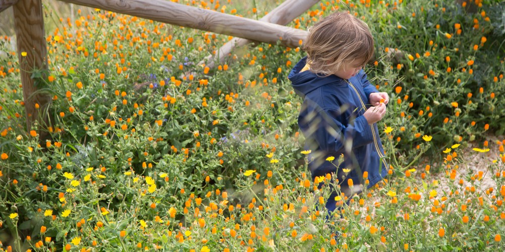 rafe-with-wildflowers-segesta-sicily