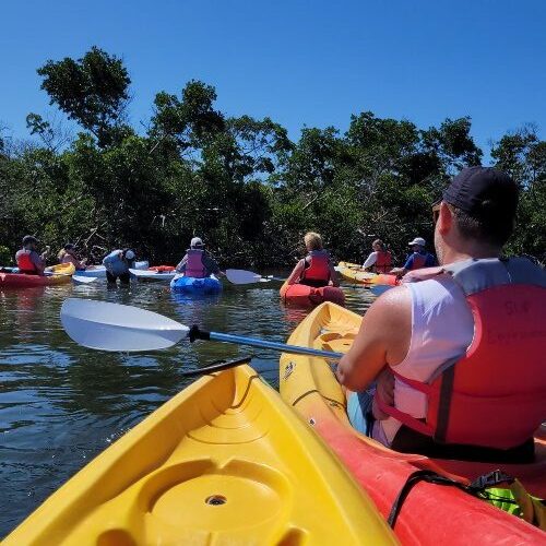 kayaking-don-pedro-state-park