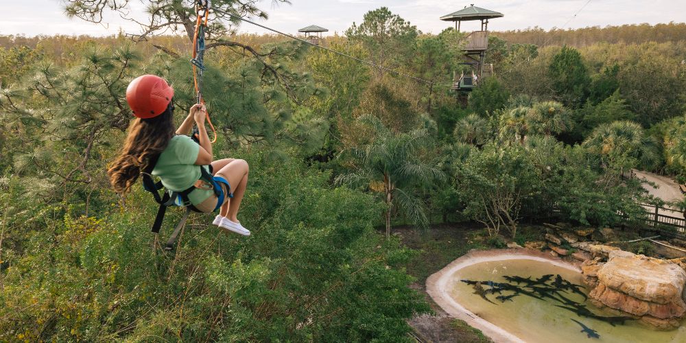 ziplining-gatorland-kissimmee