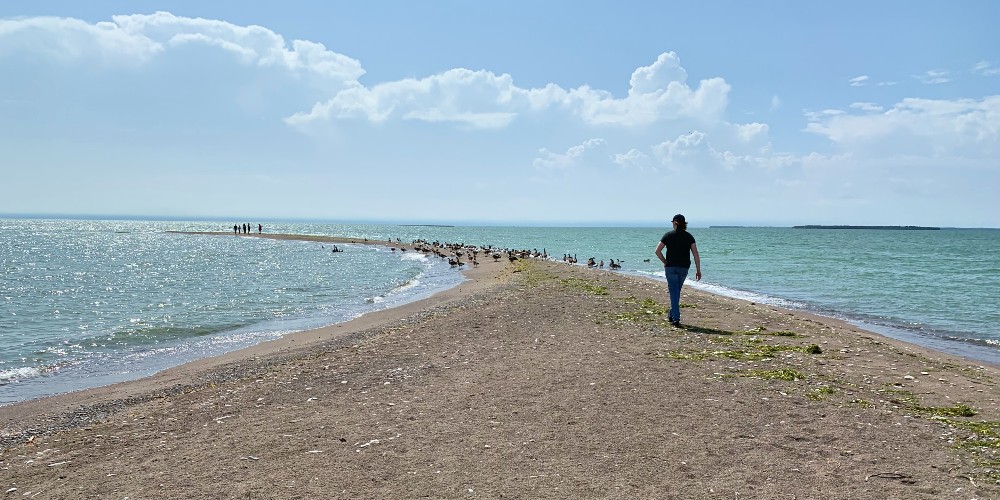 fish-point-nature-reserve-pelee-island-ontario-jennifer-merrick