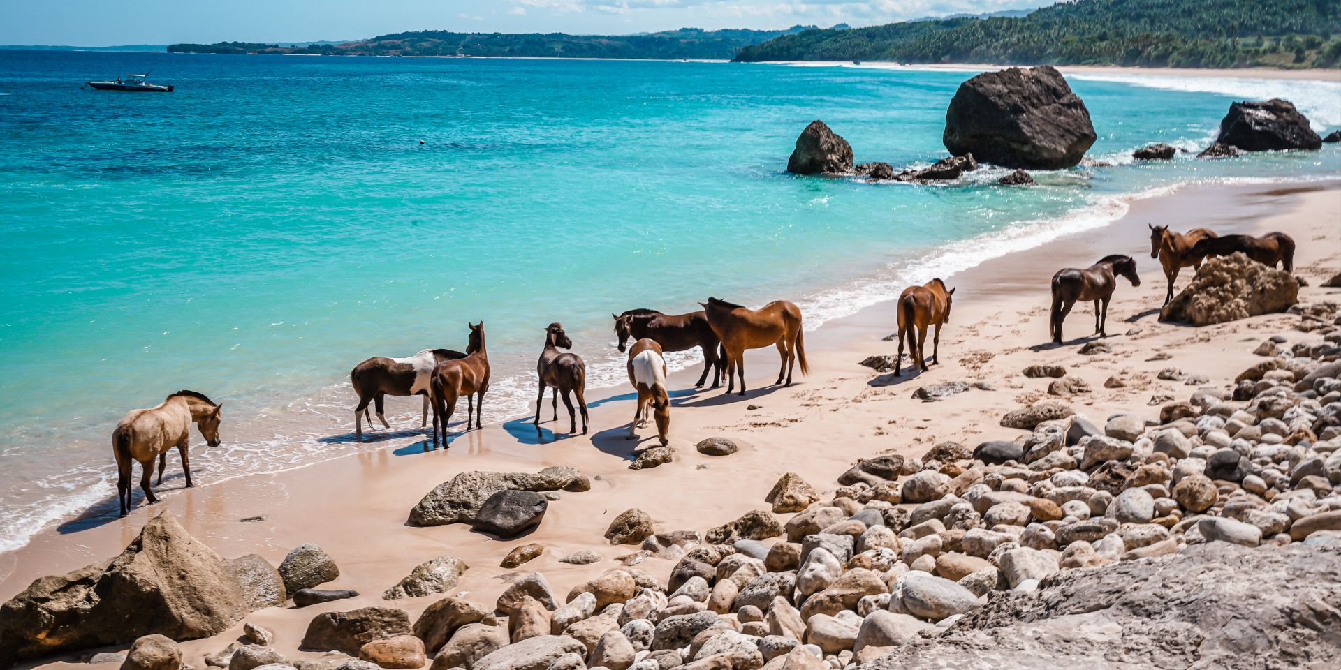 nihi-sumba-horses-on-beach-indonesia