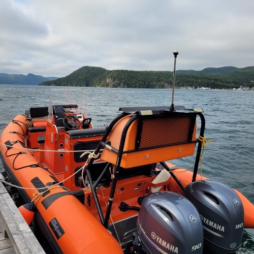 Zodiac-with-Gypsy-Sea-Adventures-newfoundland