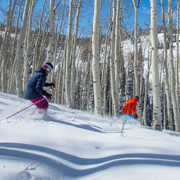 deer-valley-glade-skiing