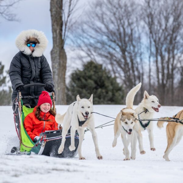 dog-sledding-family-vacation-in-michigan