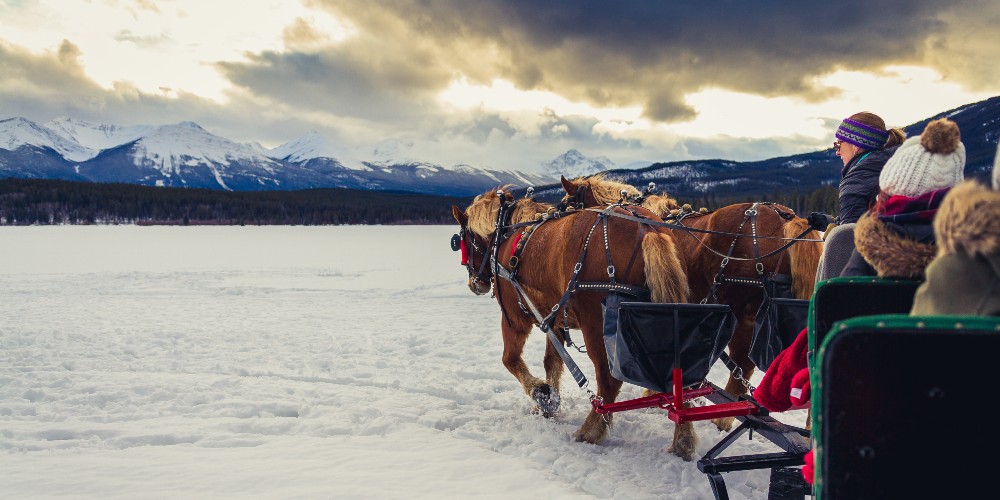 horsedrawn-sleigh-pyramid-lake