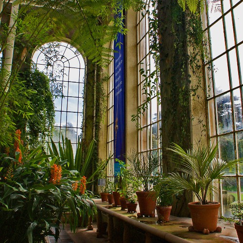 botanical-gardens-edinburgh-family-vacation