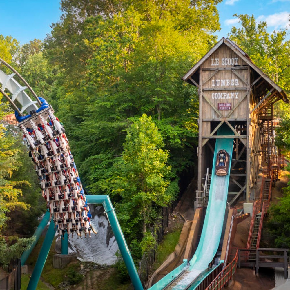le-scoot-log-flume-busch-gardens-colonial-williamsburg-family-trip