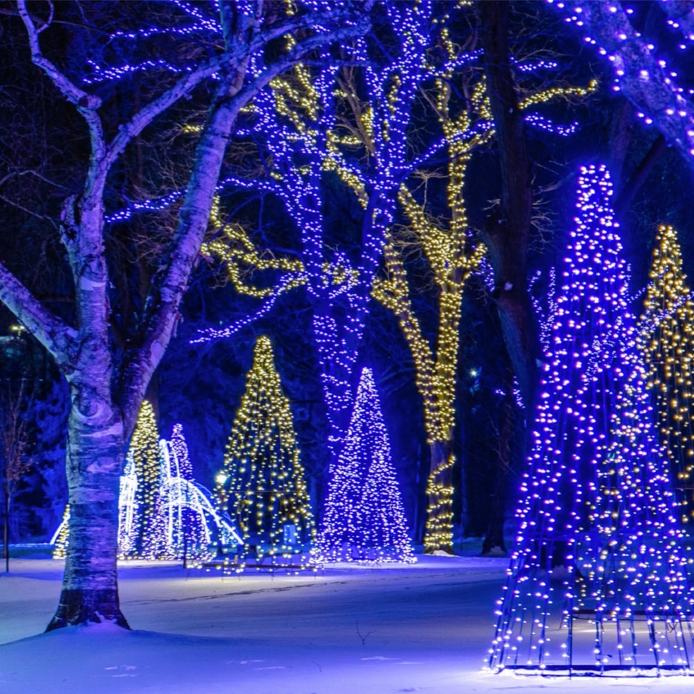 winter-lights-niagara-falls